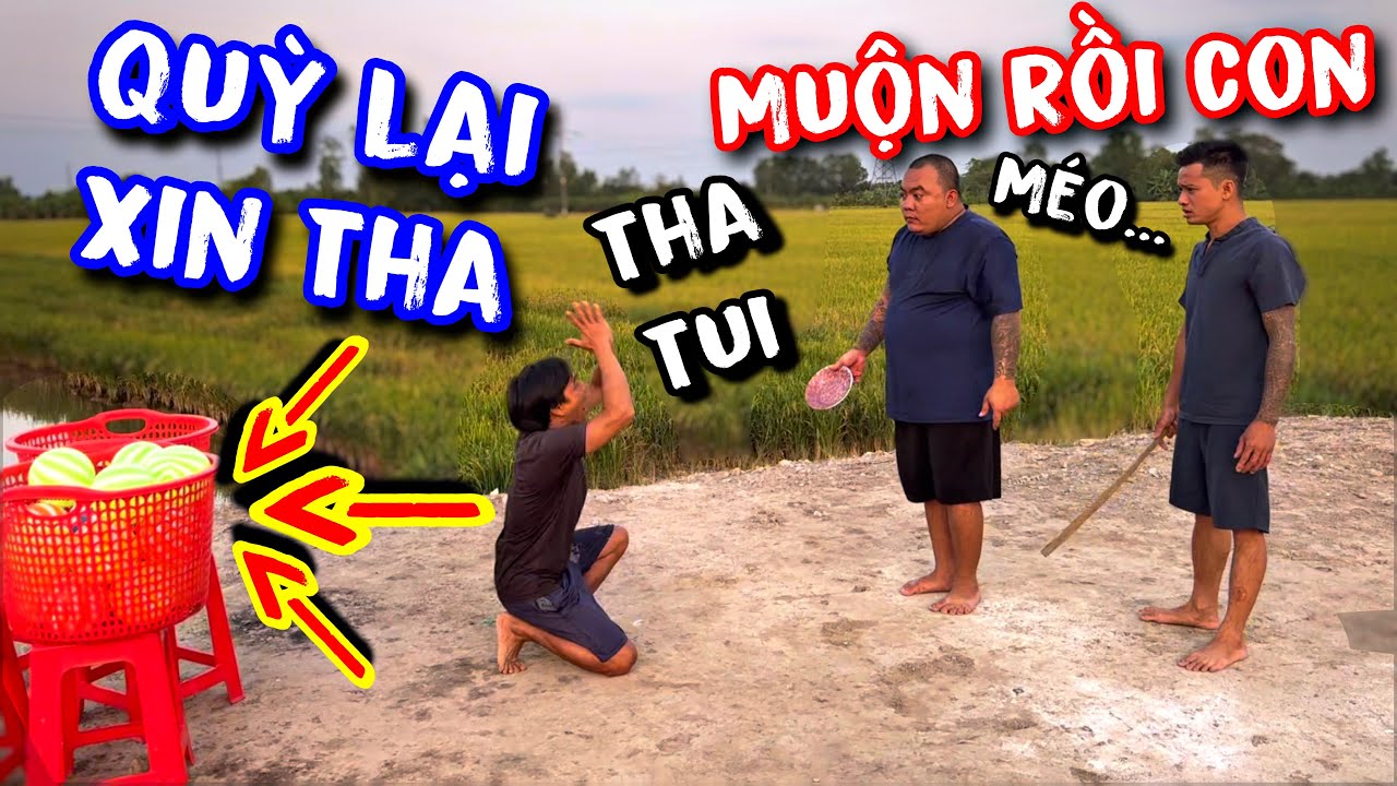 Ku lùn quỳ lại xin Thánh Xàm tha thứ vì tất cả chỉ là hiểu lầm