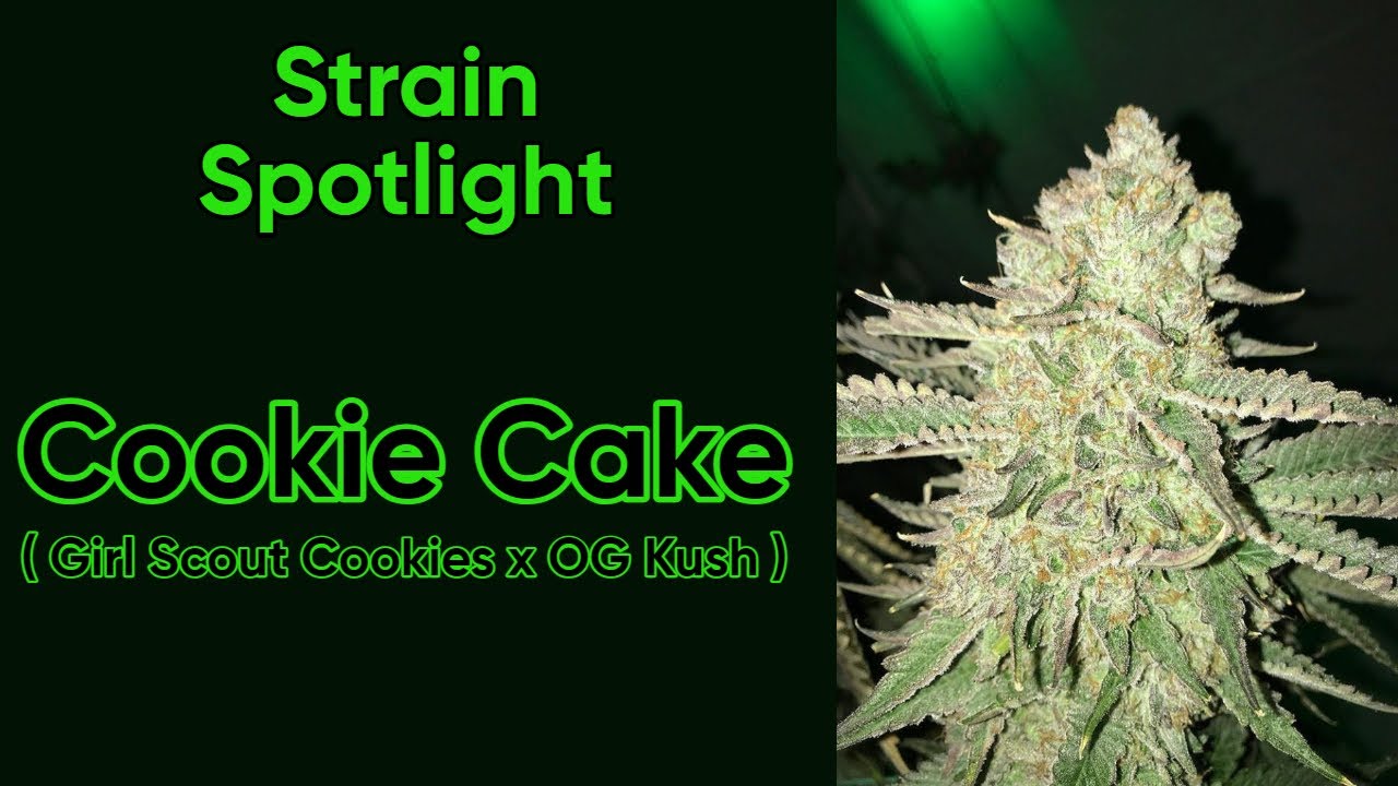 Cookie Cake - Strain Spotlight