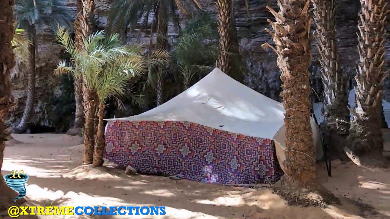 Terjit Oasis in Atar, Mauritania