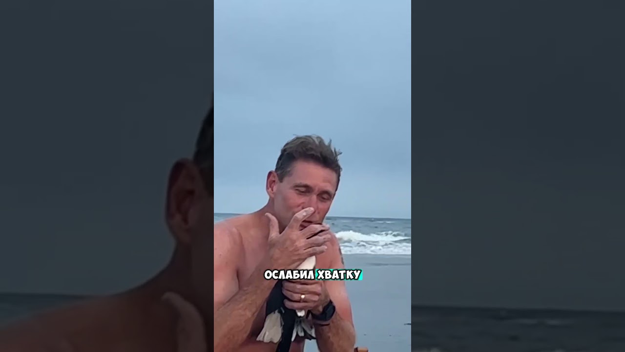 Они подружились