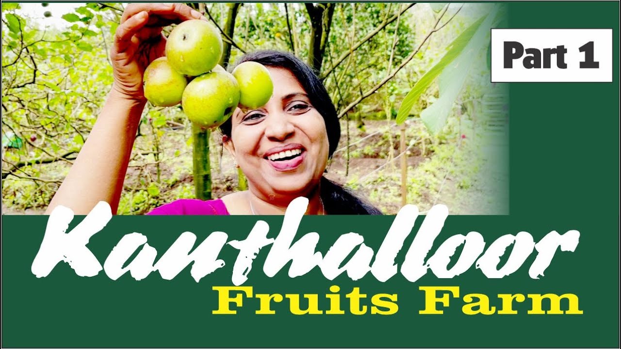 KANTHALLOOR FRUITS FARM