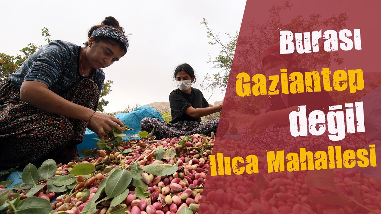 Burası Gaziantep değil Ilıca Mahallesi