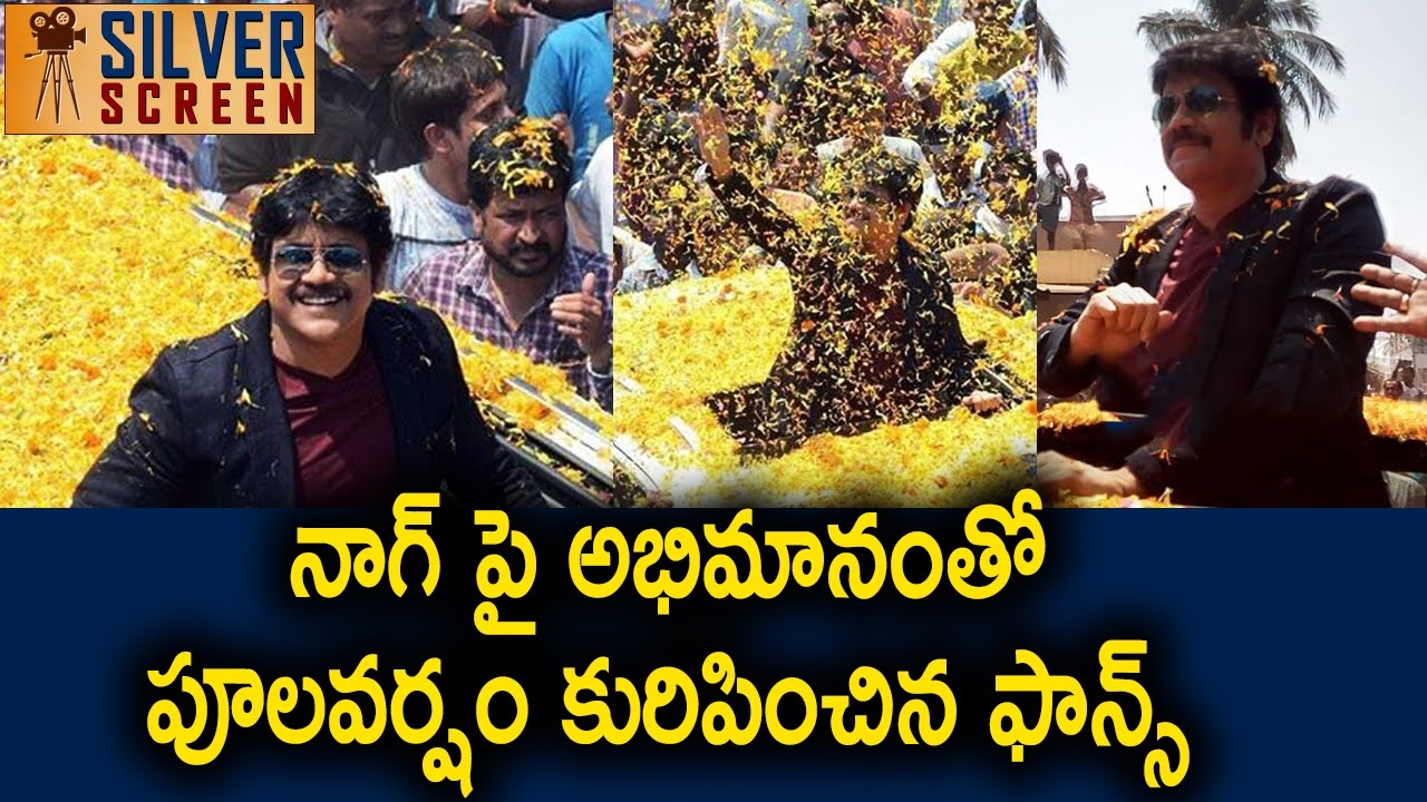 Akkineni Nagarjuna Fan Ralley at Kakinada | Fans Celebrated with lots of Happiness