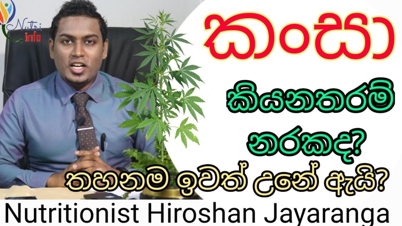 Cannebis| Kansa| Nutritionist Hiroshan jayaranga