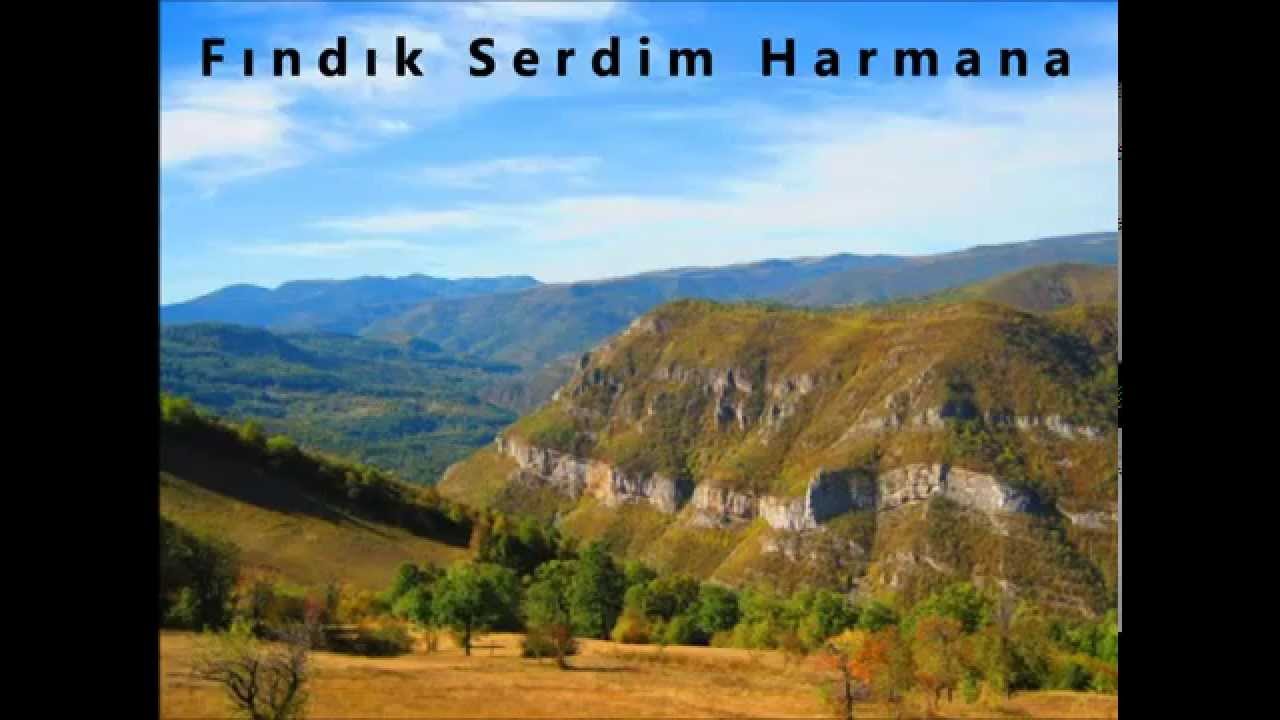 Fındık Serdim Harmana - Ulviye Ahmedova