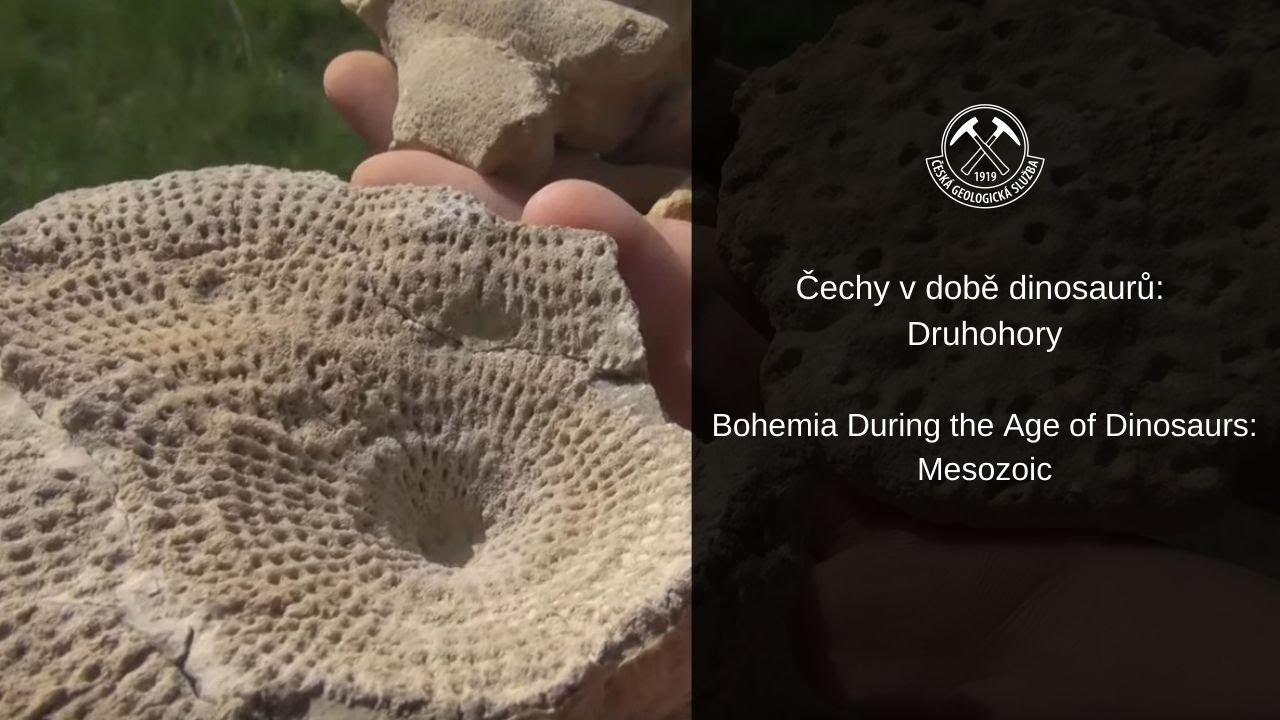 Čechy v době dinosaurů: Druhohory/ Bohemia During the Age of Dinosaurs: Mesozoic