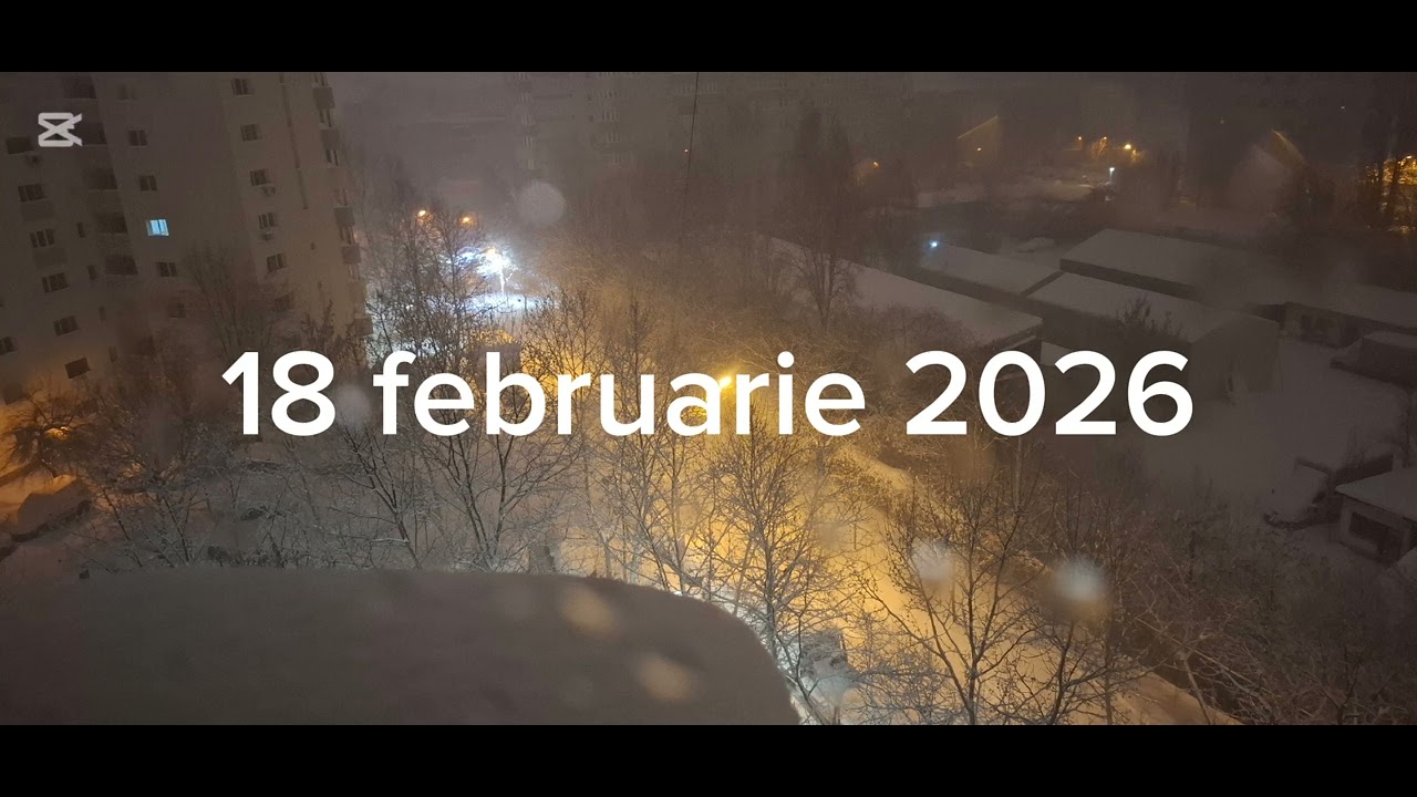 Winter 2025 2026 collages 