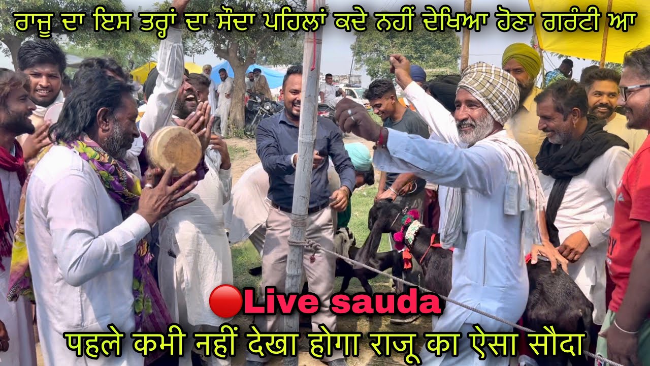 ਰਾਜੂ ਦਾ ਇਸ ਤਰ੍ਹਾਂ ਦਾ ਸੌਦਾ ਪਹਿਲਾਂ ਨਹੀਂ ਦੇਖਿਆ ਹੋਣਾ ਗਰੰਟੀ ਆ 
