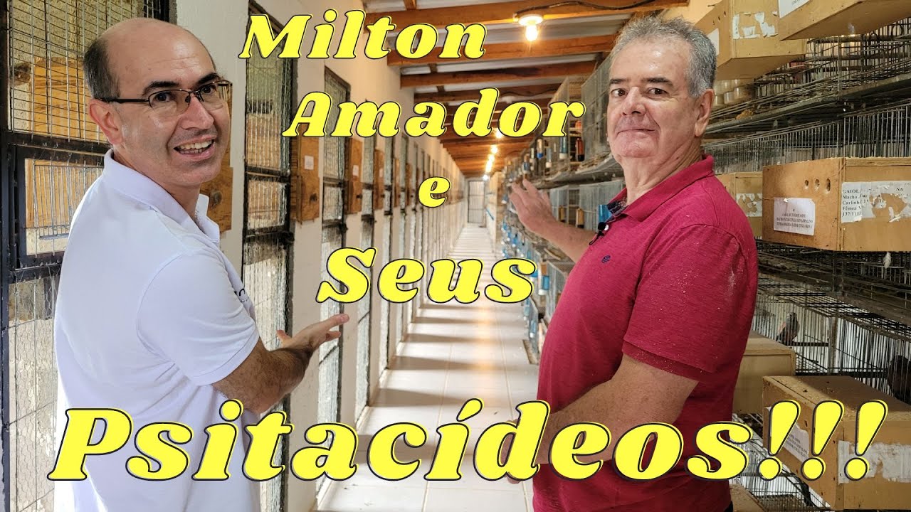 Milton Amador Mostrando seu Criadouro!!!Parte 01.