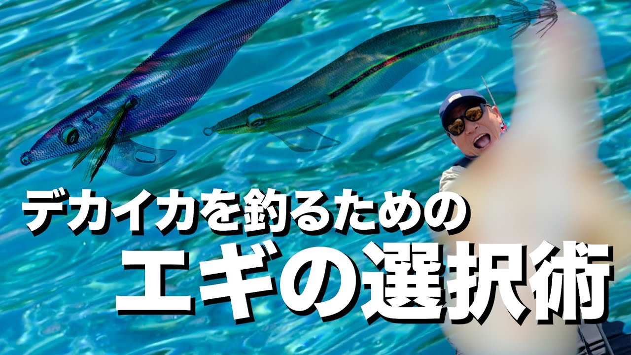 【エギング】大型アオリイカ攻略の鍵！プロのエギ選択、実釣2キロアップ連発！