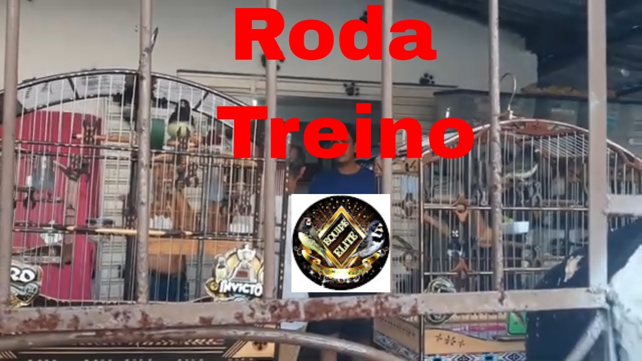 Roda Treino de Coleiro