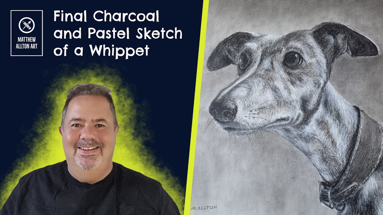 Final Charcoal and Pastel Sketch of a Whippet