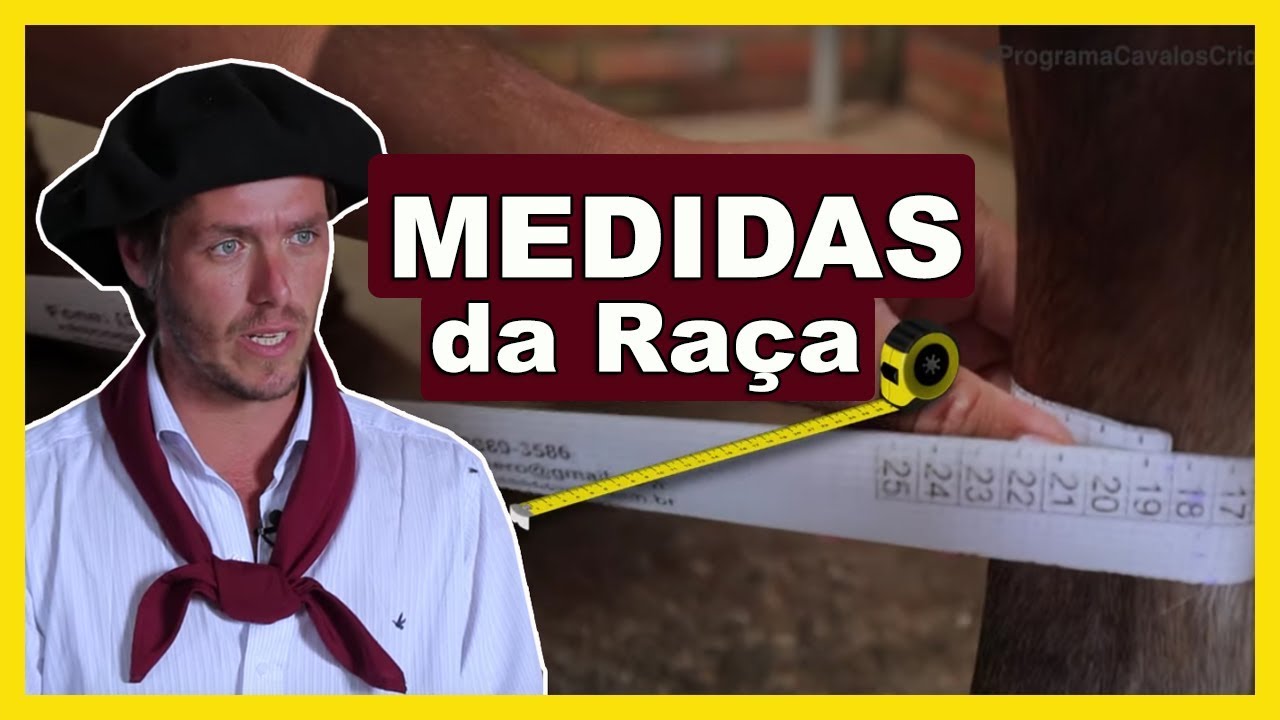 Saiba o que &eacute; preciso para CONFIRMAR um CRIOULO