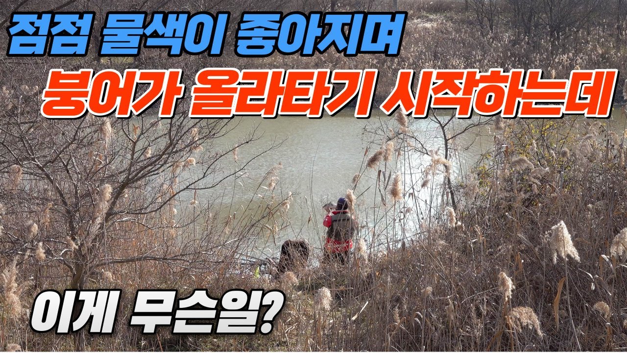 물색이 갈수록 탁해진다면 긴장해라 !!