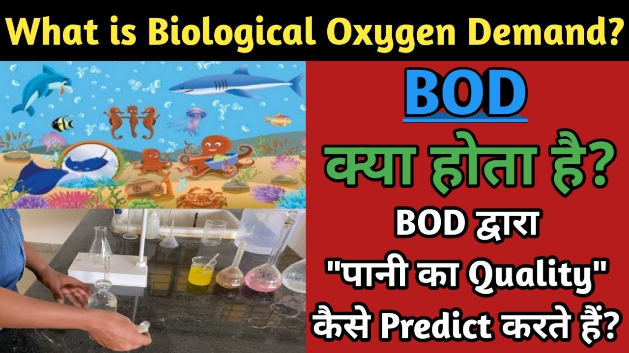 Biological Oxygen Demand | BOD | Calculation of BOD | Significance of BOD in Hindi | Water testing |