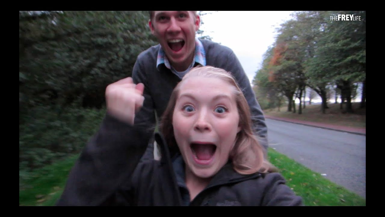 LET'S FIND SOME DOGS!!! (9.30.14)