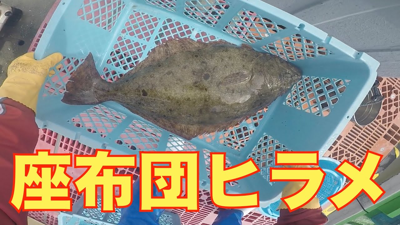 9.0キロの巨大ヒラメが獲れました。