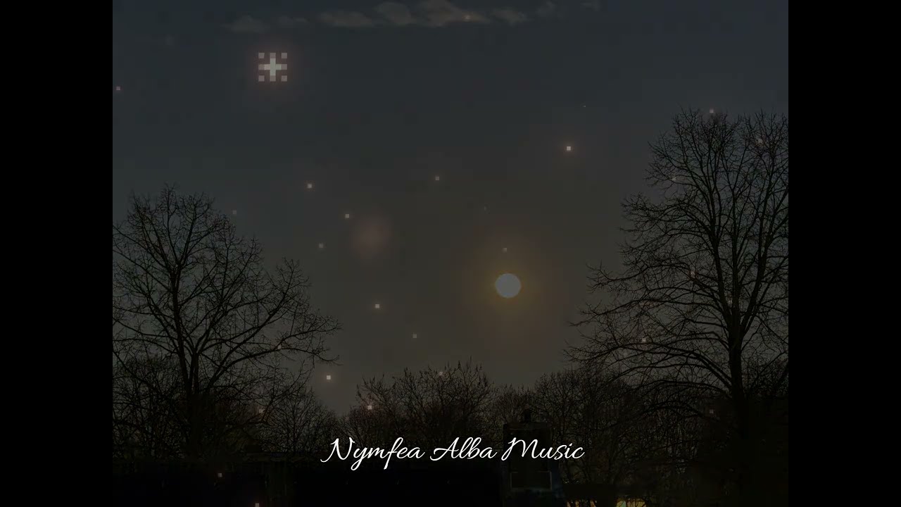 Together under the nightsky