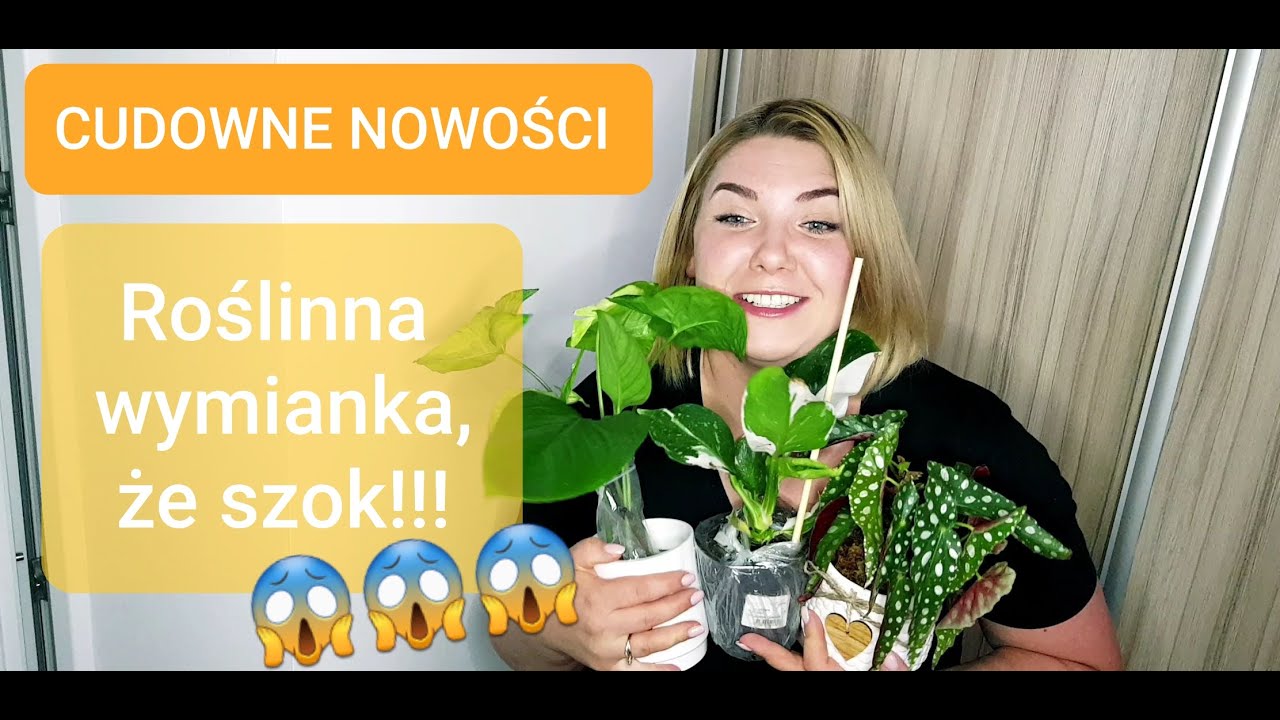 UNBOXING roślinny/Nowe rośliny i mnóstwo radości/Wymianka roślinna z Pauliną zielonylistek_yt