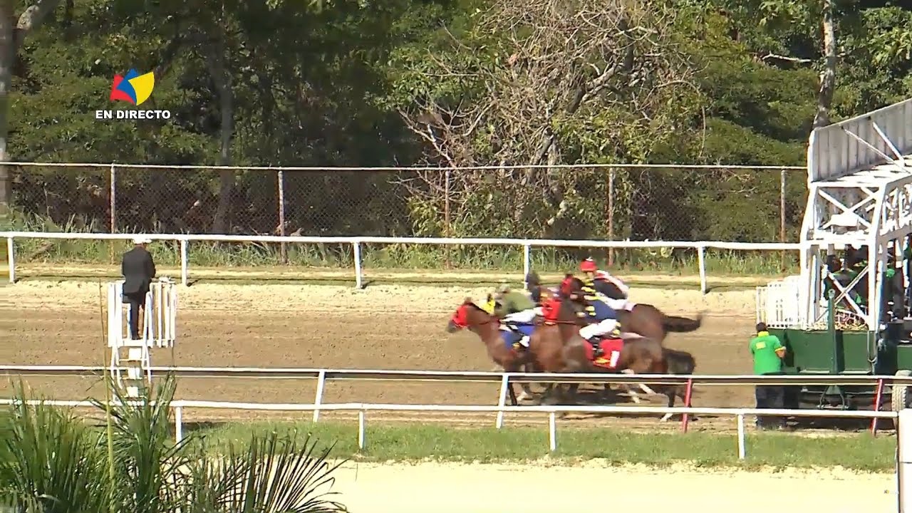 5&ordf;. carrera | PRINCESS ANA | Hip&oacute;dromo La Rinconada | Reuni&oacute;n 43 | 2025