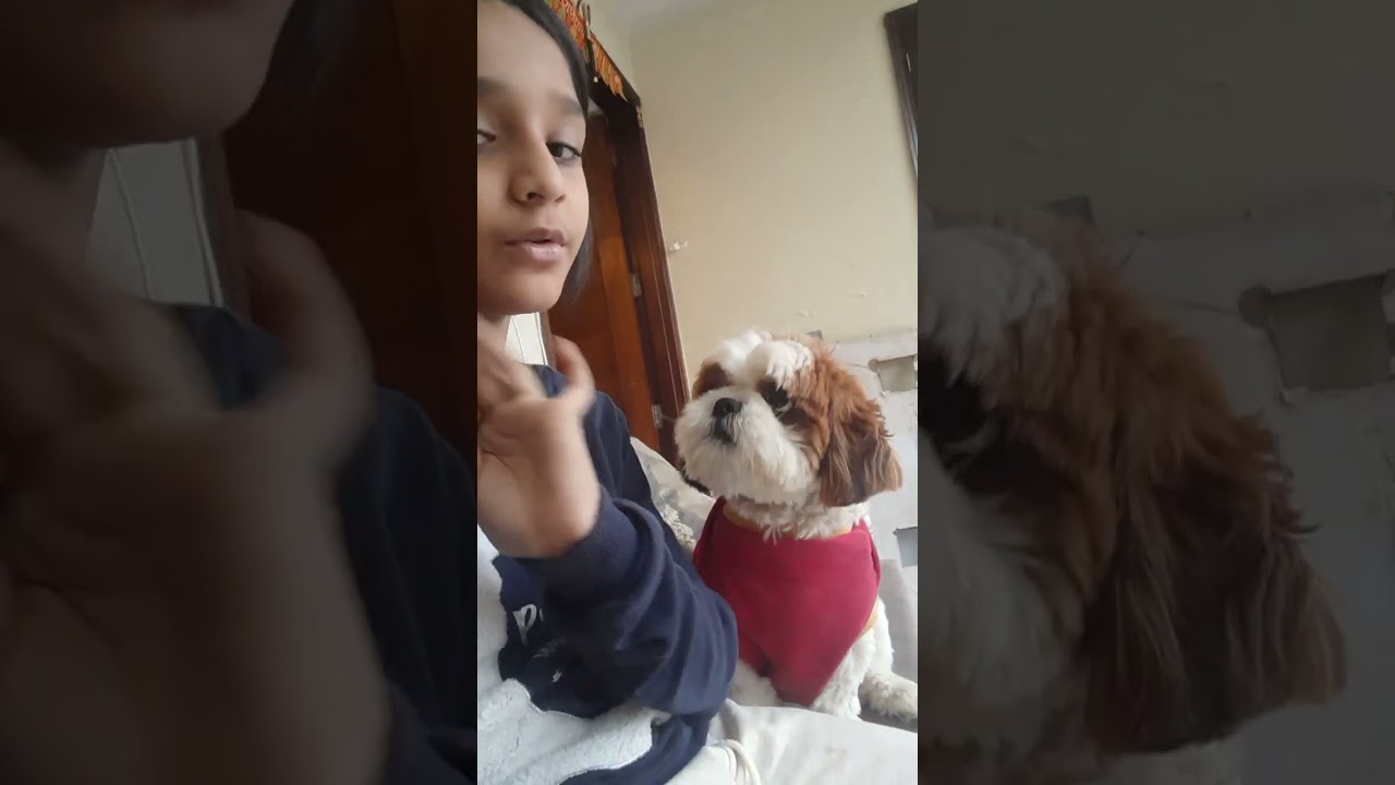 Playing with my cute dog