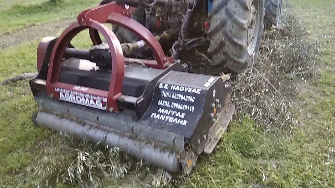 AGROMAG καταστροφέας σε ξύλα ελιας
