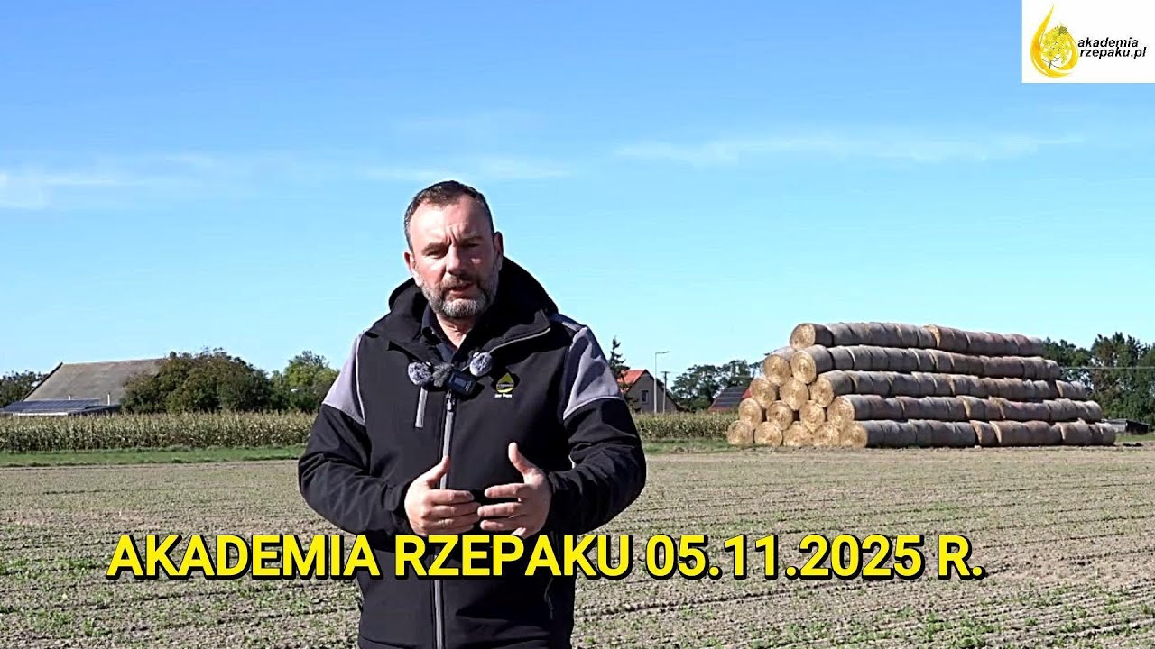 Rzepak ozimy – siew 5.09.2025 r. Ocena stanu plantacji, prezentacja doświadczeń