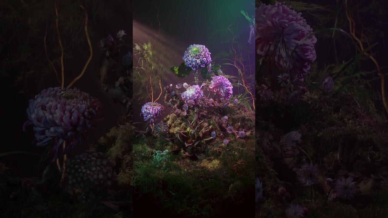 🌞 Projection Mapping on Flowers