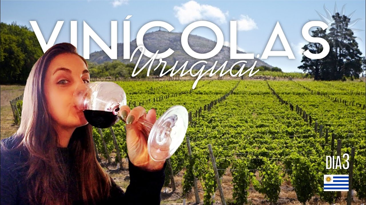 Vinícolas do Uruguai - Bouza e Carrau - Tour guiado e degustação - Ep.03