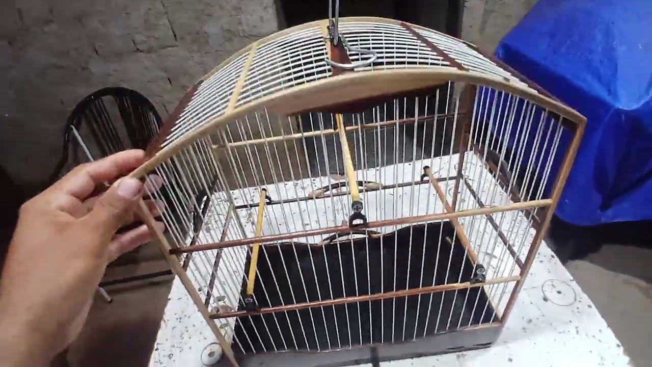 Mais um trabalhou finalizado dessa uma baianinha top....