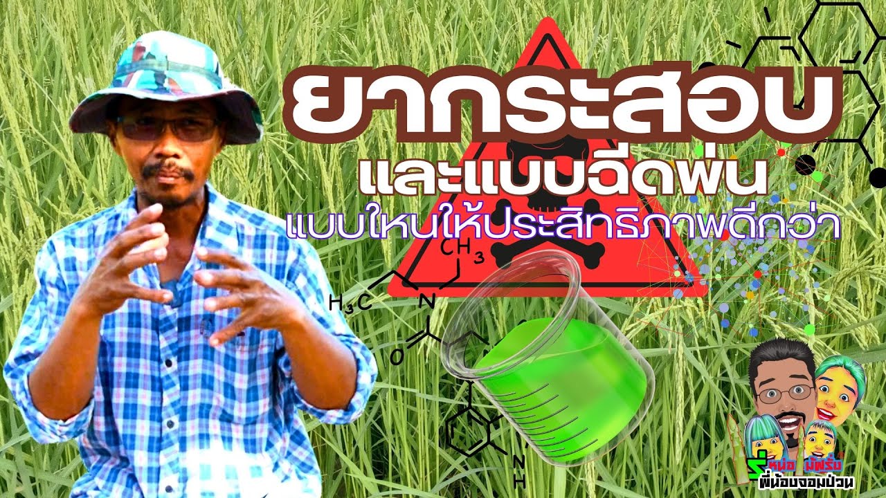 สารเคมีชนิดเม็ดทรายและชนิดน้ำ ฉีดพ่น แบบไหนมีประสิทธิภาพดีกว่าการ