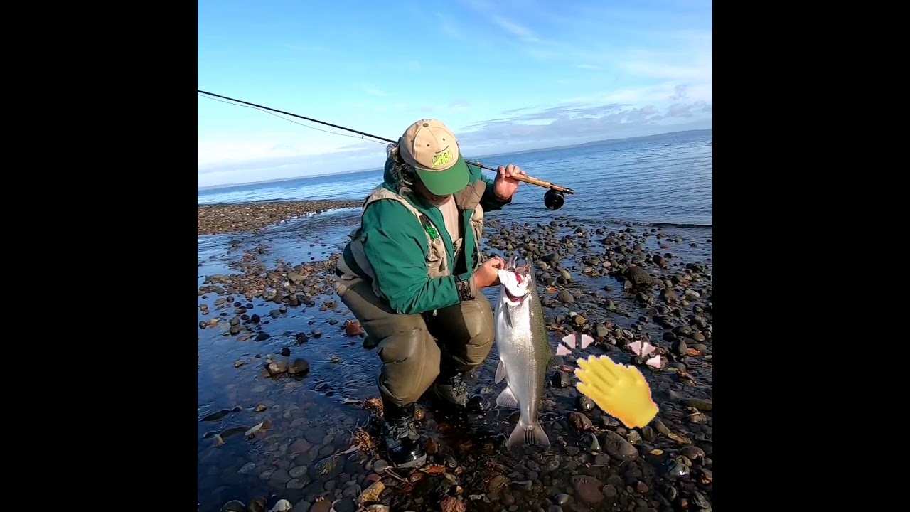 Pesca río pescado