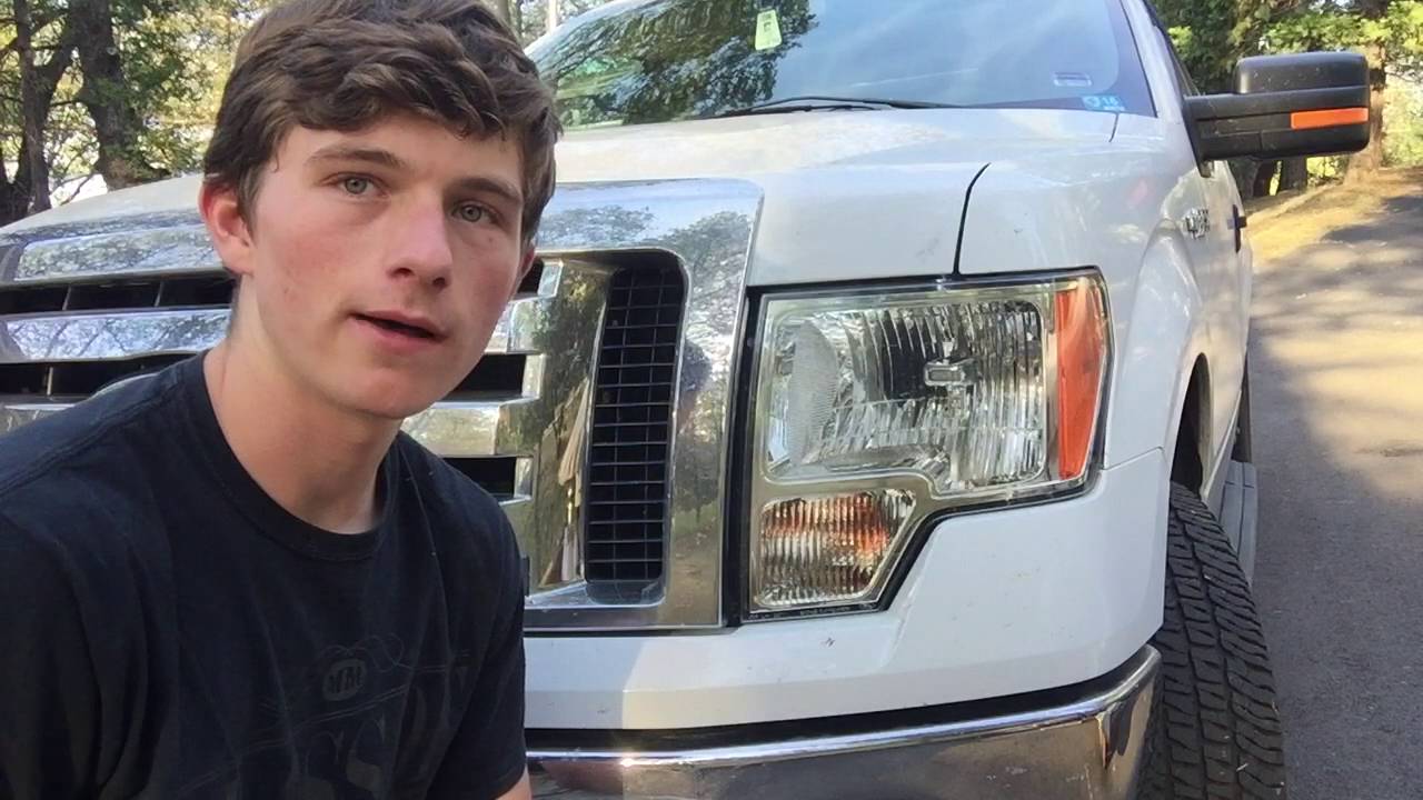 Fastest Way to Remove Bugs From Your Car
