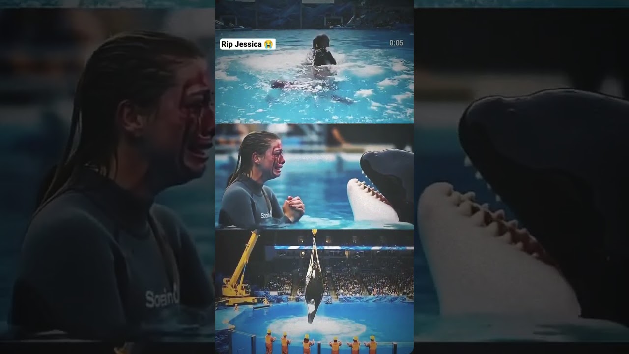 Rip Jessica 😭 #jessica #rip #sad #shorts #viral #video #status #whatsapp 🥹