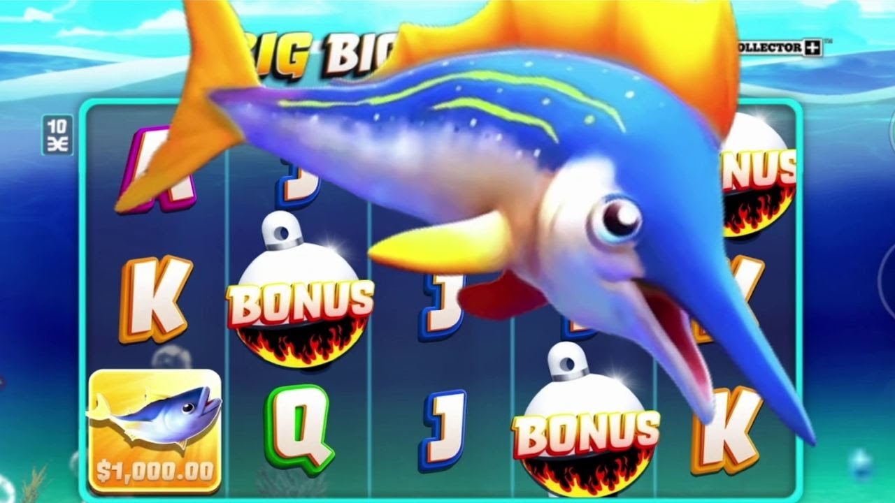 Big Big Fishing Fortune! (Yes, that's the name of the machine)