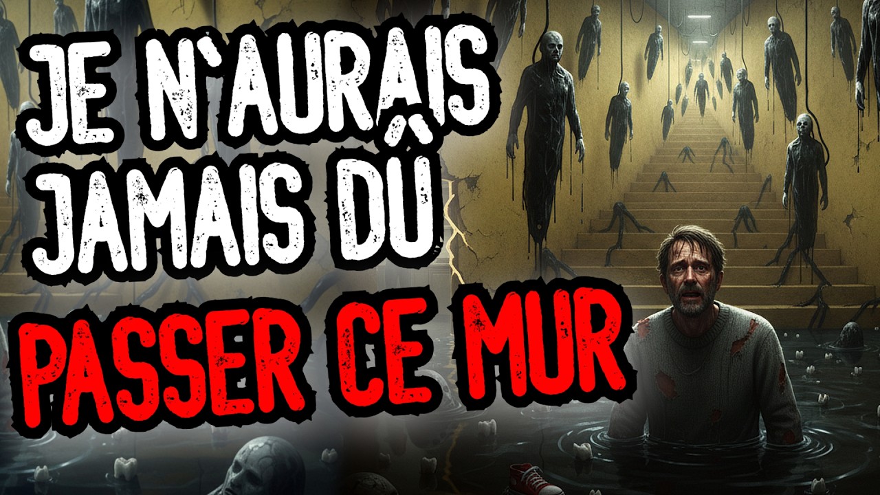 (CREEPYPASTA FR) JE N'AURAIS JAMAIS D&Ucirc; PASSER CE MUR