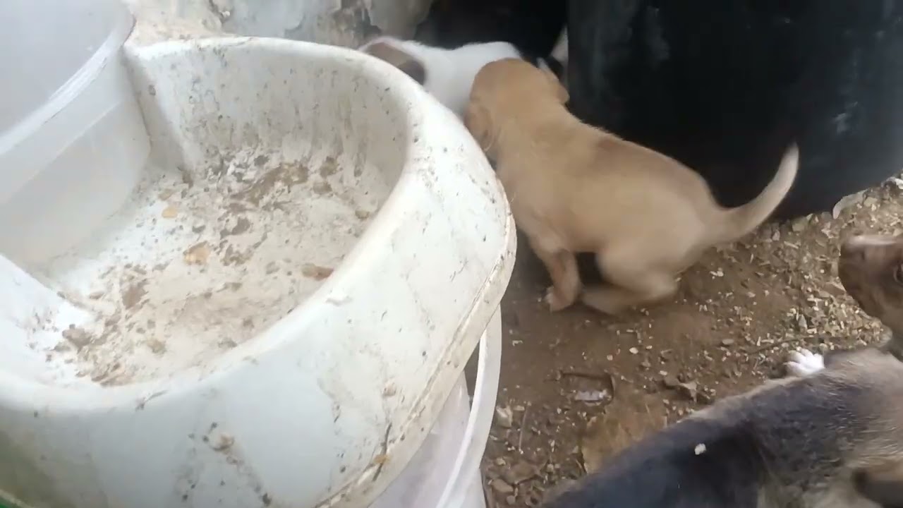 20 de diciembre de 2025