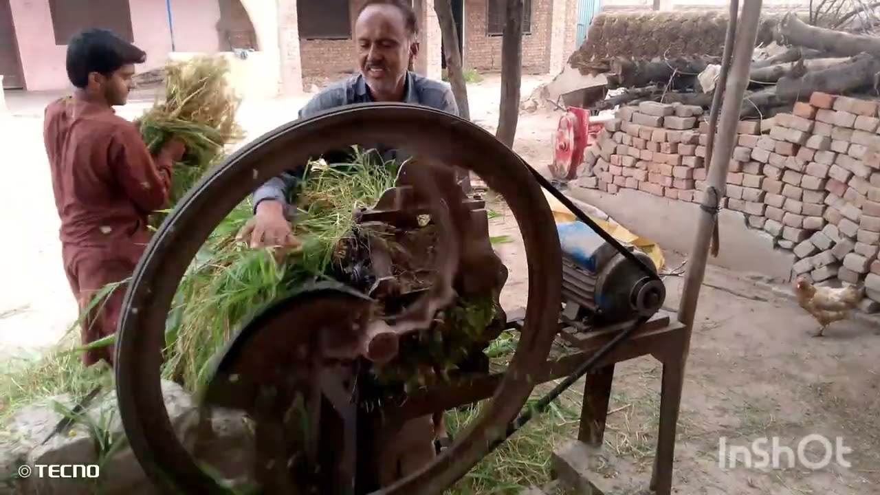 🔥 High-Powered Sorghum Grass Cutter | Satisfying Machine Sound | Village ASMR