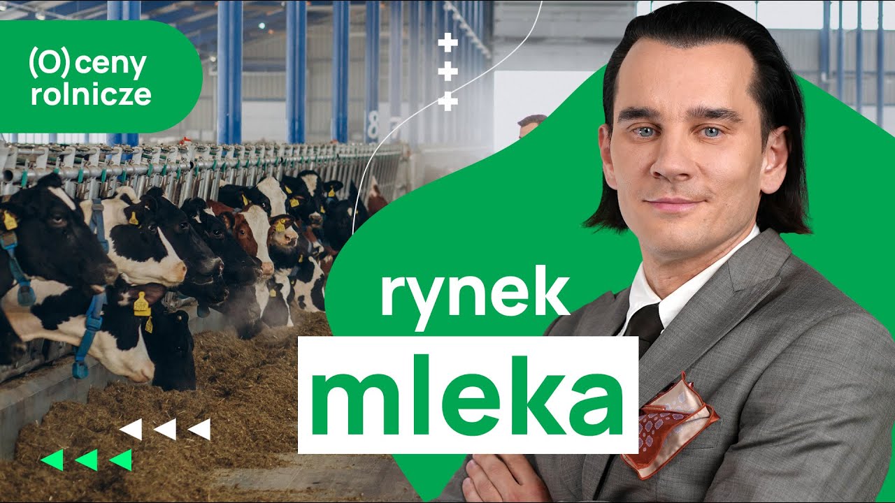 Ceny w skupach mleka rekordowo wysokie, ale zyski pożerają koszty produkcji. Komentarz eksperta