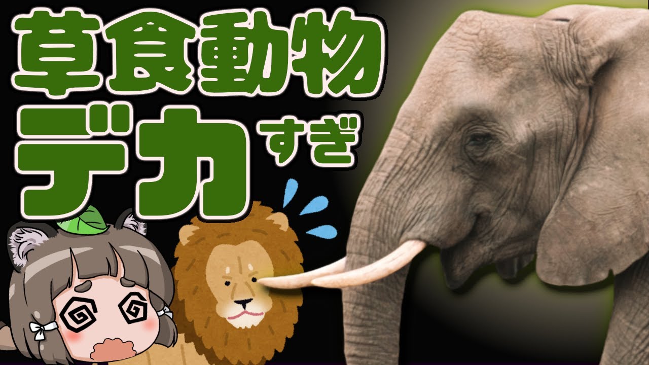 【疑問】草食動物はなぜ大きい？ゾウやキリンの巨大さの不思議に迫る！