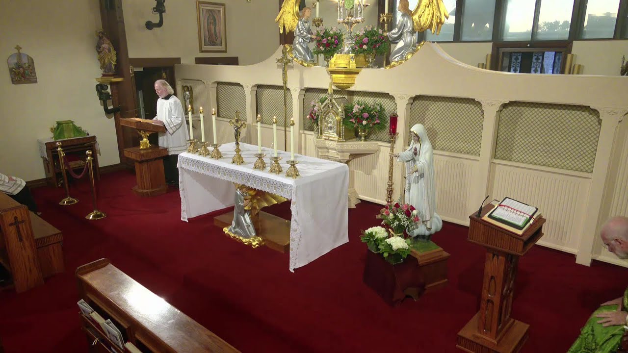 Daily Readings and Homily - 2023-10-29 - Fr. Joseph
