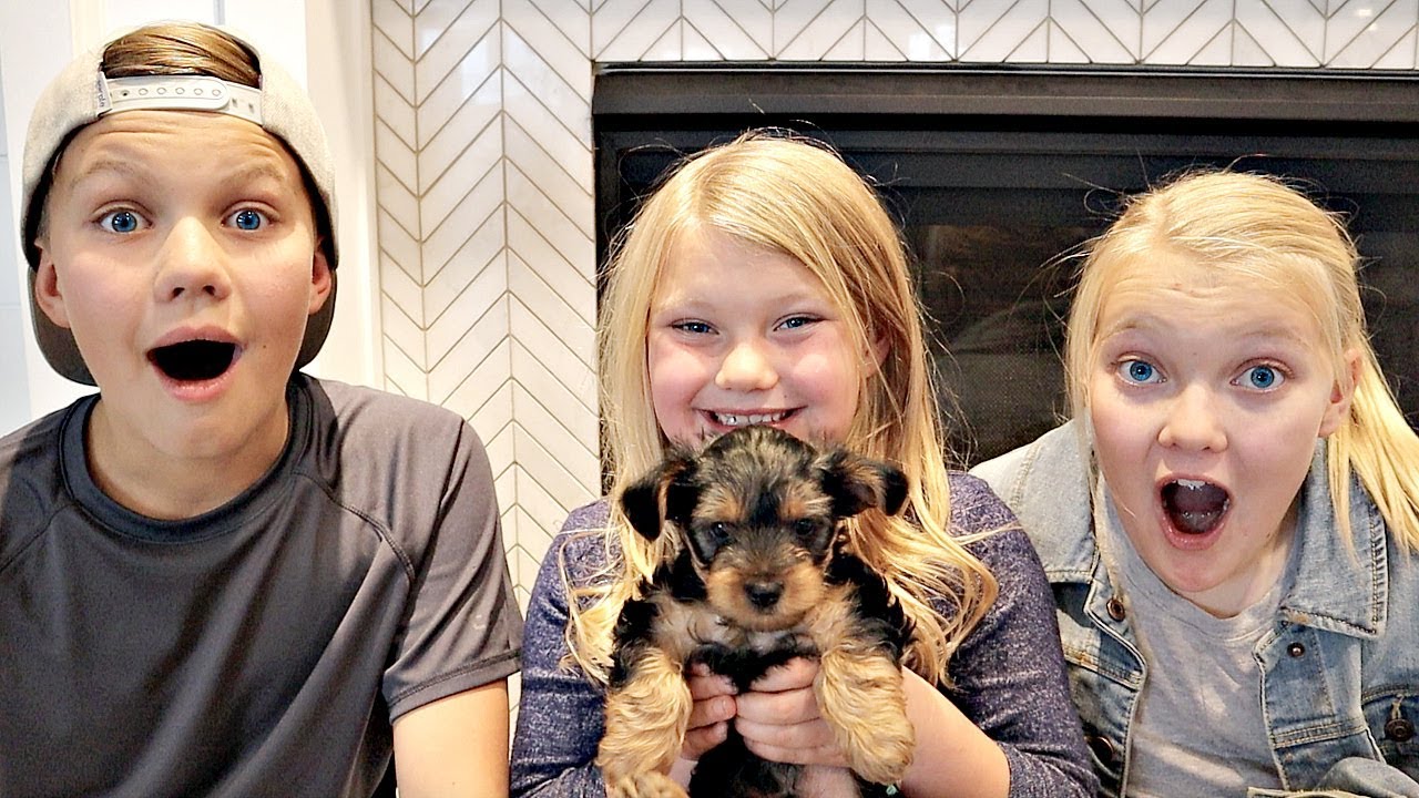SURPRISING Our Kids With a PUPPY!!