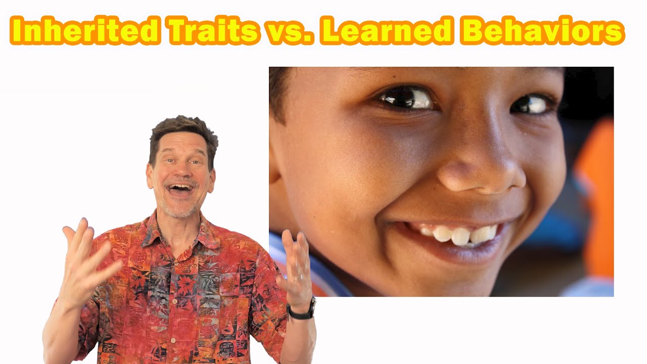 Learned traits vs inherited traits explained for kids PLUS instincts, behaviors, and genes (UPDATED)