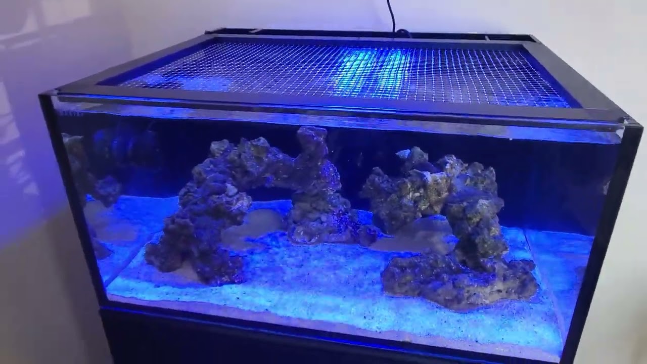 innovative marine lagoon 25 first start up