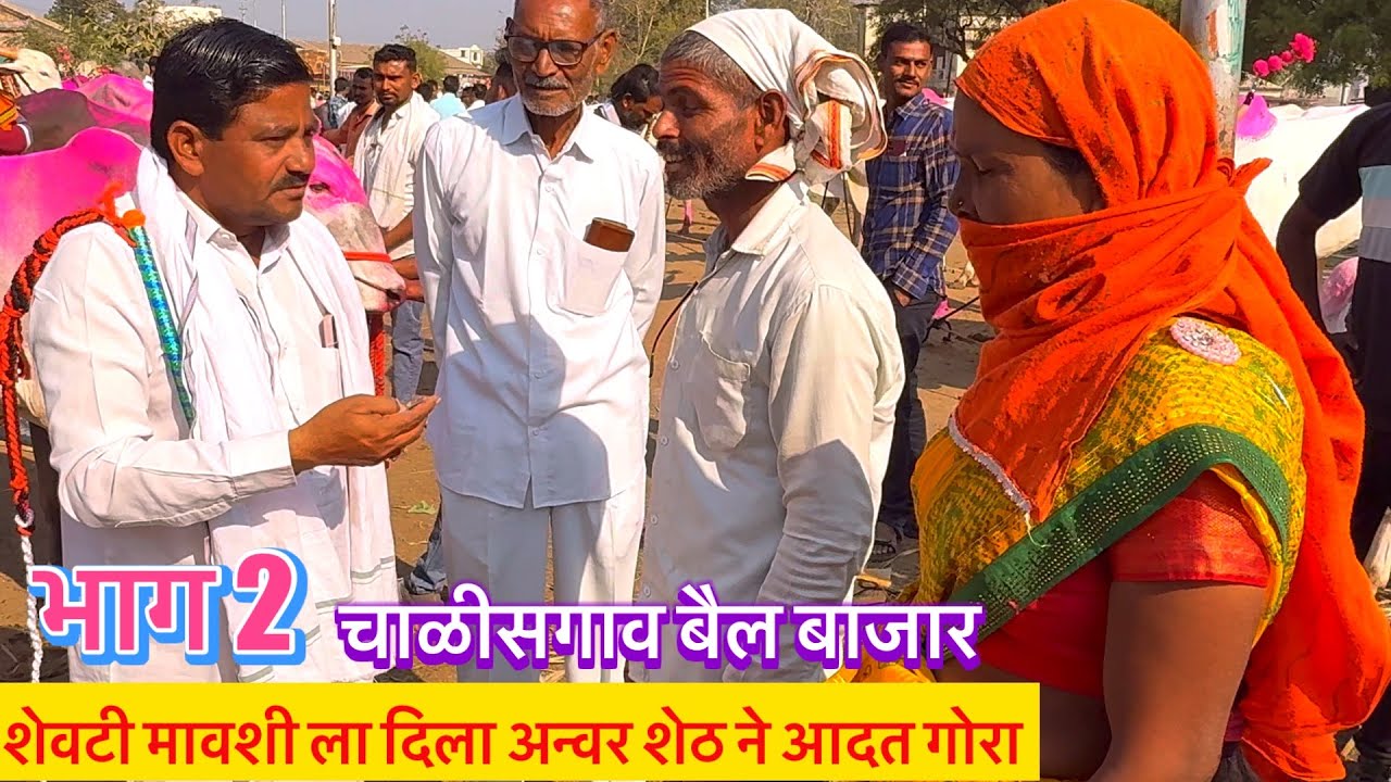 अन्वर शेठ चाळीसगाव बैल बाजार live 🔴1 फेब्रुवारी 2025 || शेवटी गरीब शेतकऱ्याला दिला आदत गोरा 👑🙏