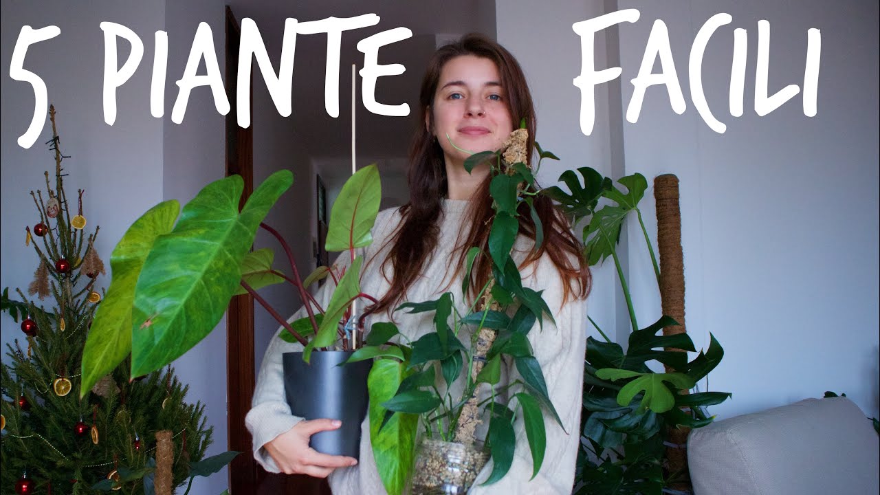 Piante FACILI e PARTICOLARI🌿