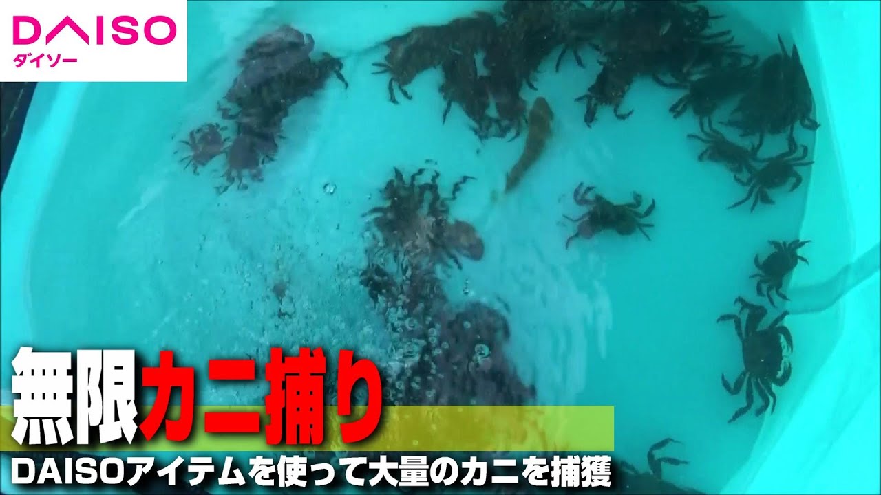DAISOアイテムでカニ獲り仕掛けを作ってみた!!!