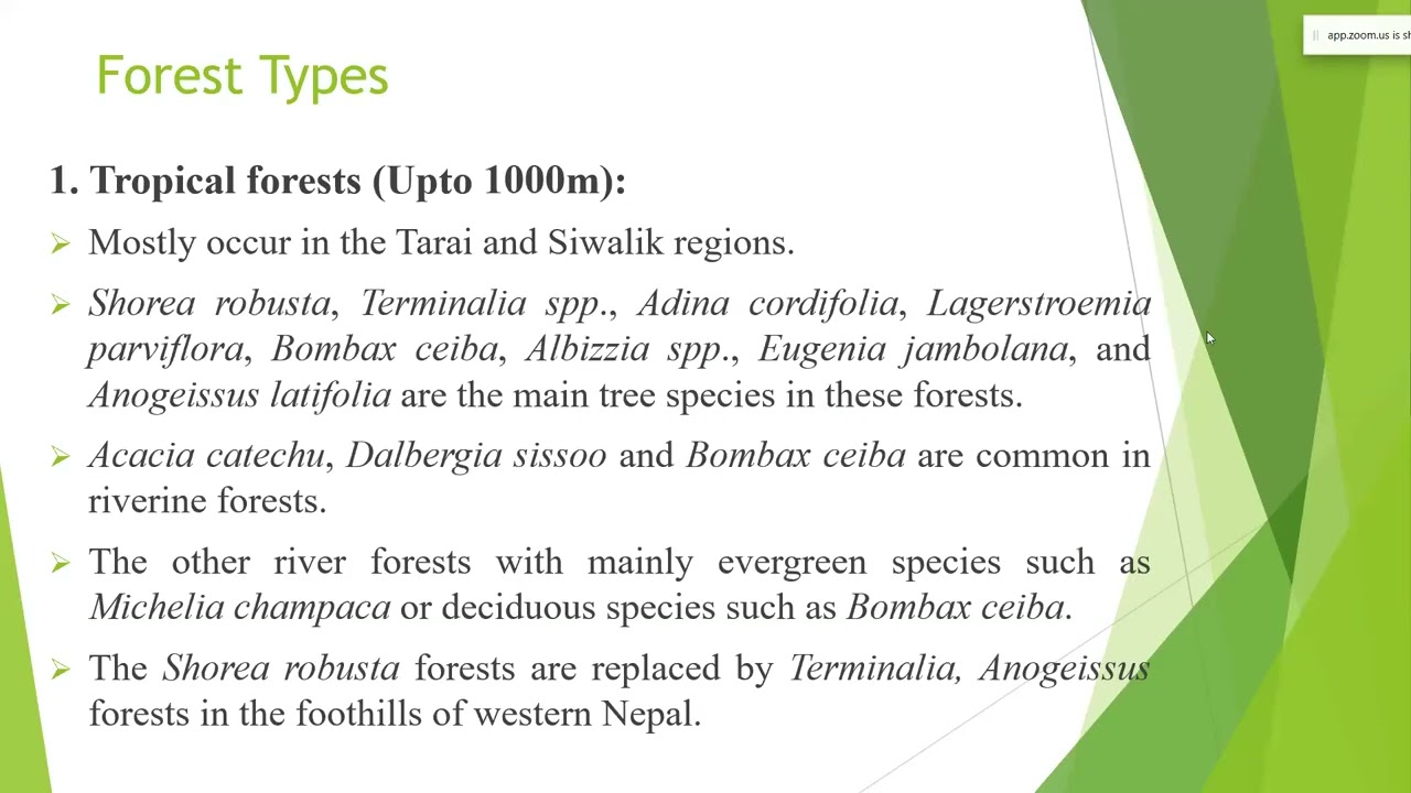 Forest and Forest types Dipendra Chaudhary