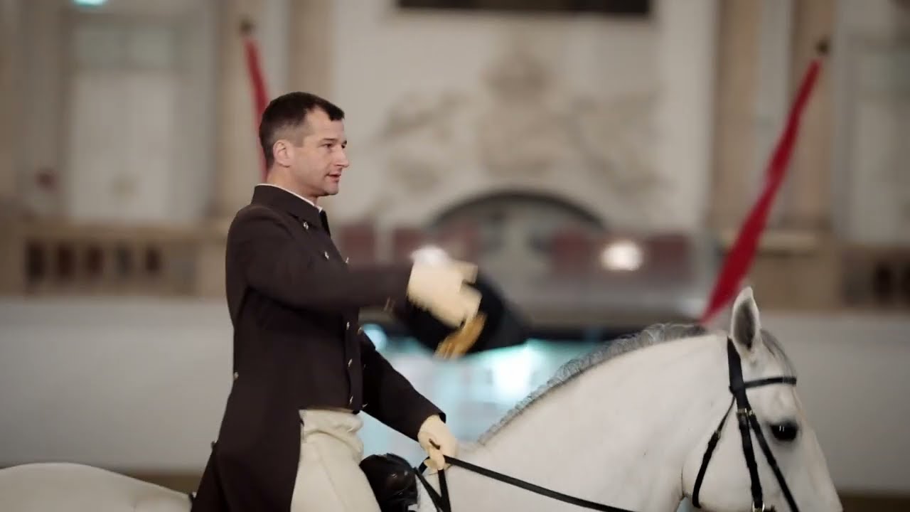 Morning Exercise at the Spanish Riding School - What to expect