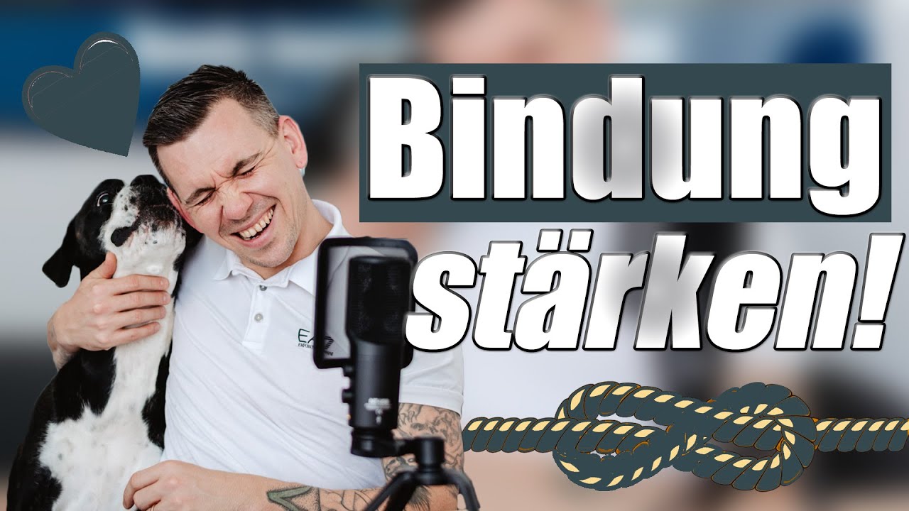 So stärkst du die Bindung zu deinem Hund! - Hundetrainer Steve Kaye